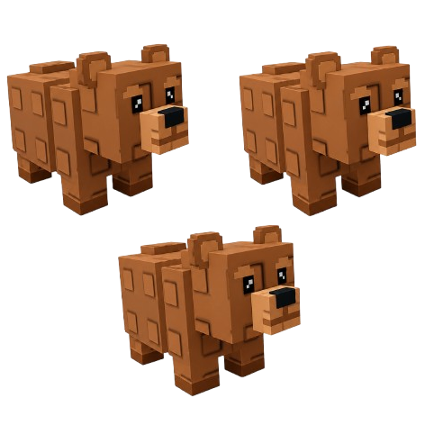 3x Bear Bundle