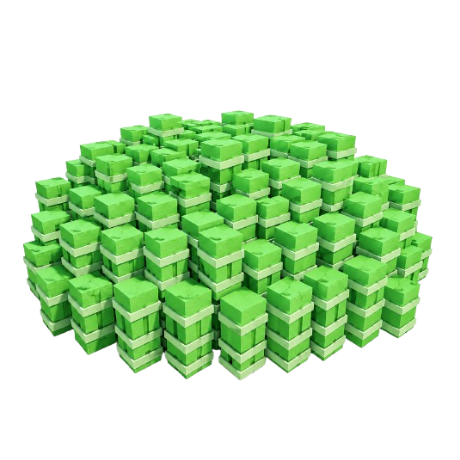 500x Bamboo Seeds