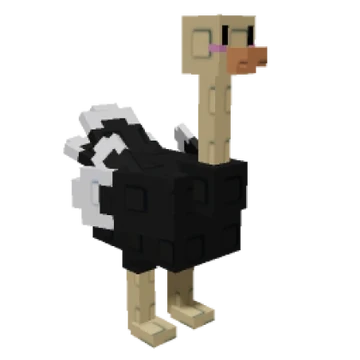 Ostrich