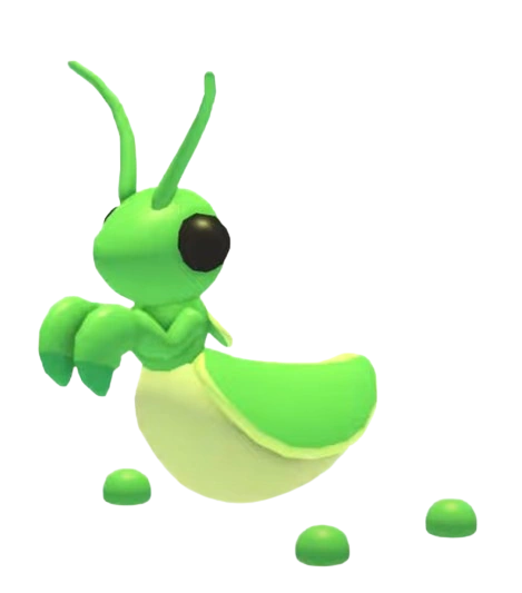 Praying Mantis