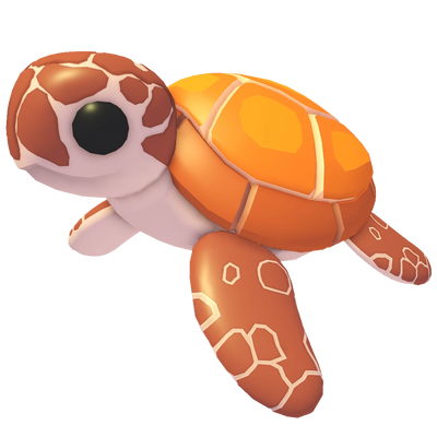 Sea Turtle