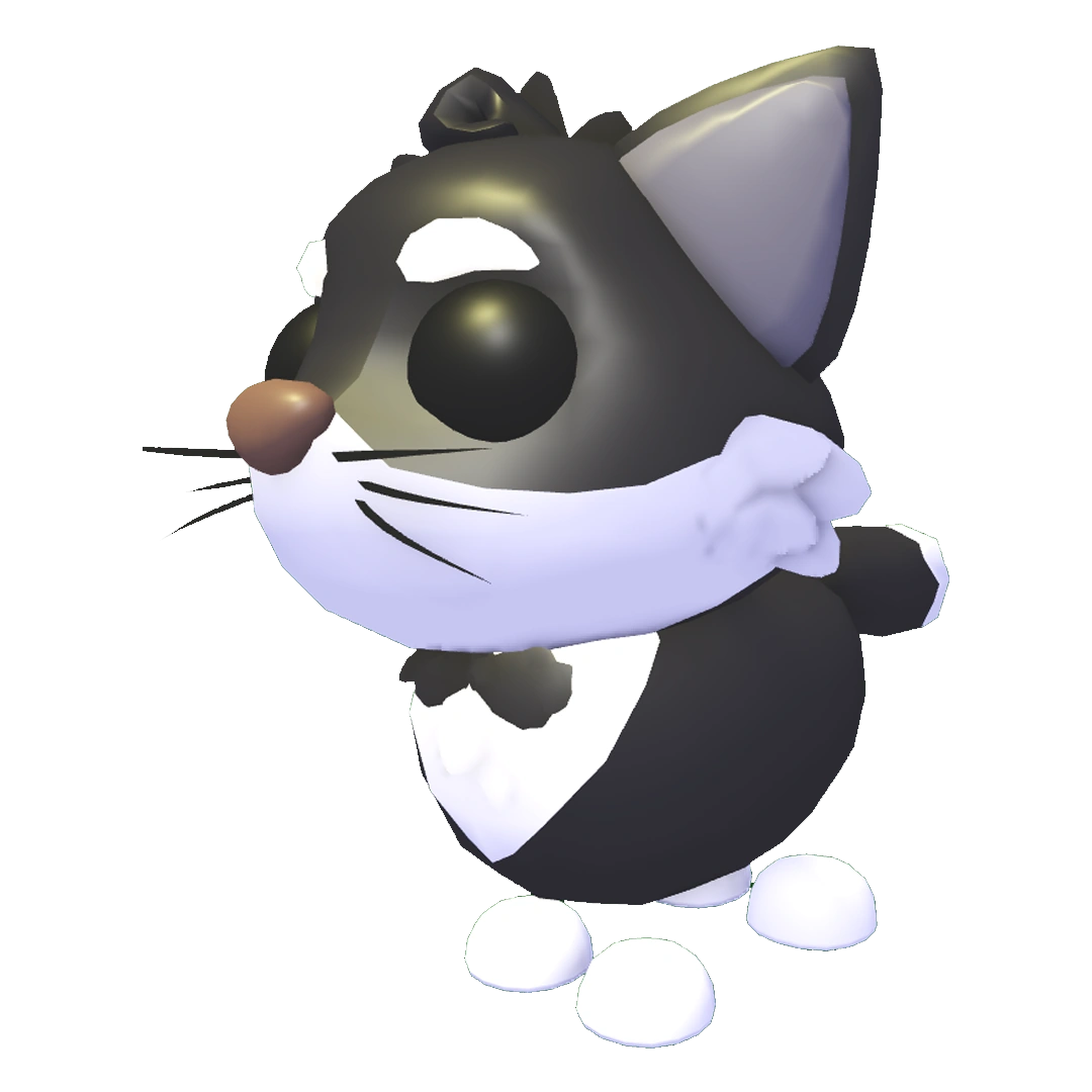 Tuxedo Cat