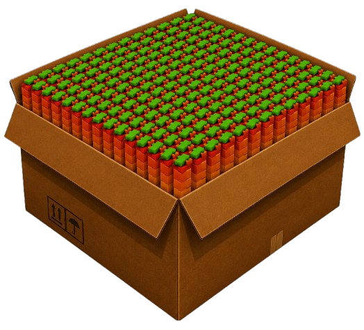 1000x Mango Seeds