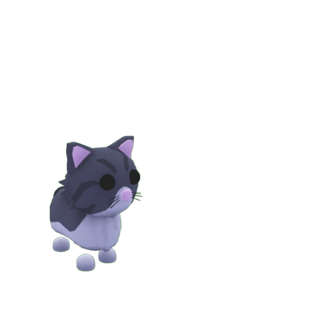 Neon Persian Cat